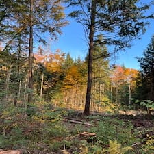 Timber-Appraisal-Timber-Harvesting-in-Gilsum-NH 4
