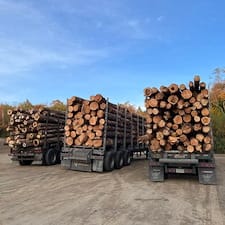Timber-Appraisal-Timber-Harvesting-in-Gilsum-NH 5