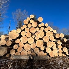 Timber-Appraisal-Timber-Harvesting-in-Lebanon-NH 1