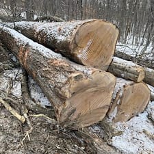 Timber-Appraisal-Timber-Harvesting-in-Lebanon-NH 2