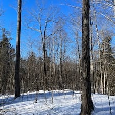 Timber-Appraisal-Timber-Harvesting-in-Lebanon-NH 4