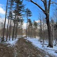 Timber-Appraisal-Timber-Harvesting-in-Lebanon-NH 6