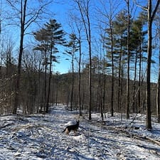 Timber Appraisal & Timber Harvesting in Lebanon, NH