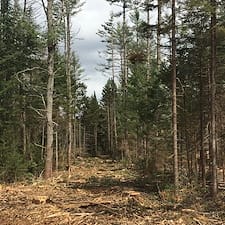 Timber-Harvest-in-Lempster-NH 0
