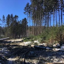 Timber-Harvest-in-Lempster-NH 2
