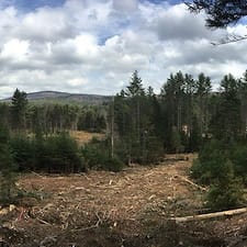 Timber-Harvest-in-Lempster-NH 4