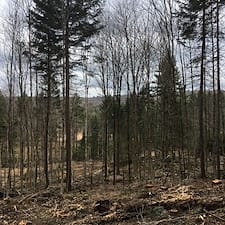 Timber-Harvest-in-Lempster-NH 5
