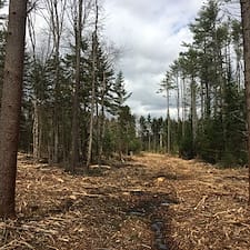 Timber-Harvest-in-Lempster-NH 6