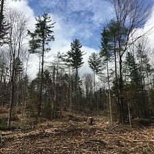 Timber-Harvest-in-Lempster-NH 7