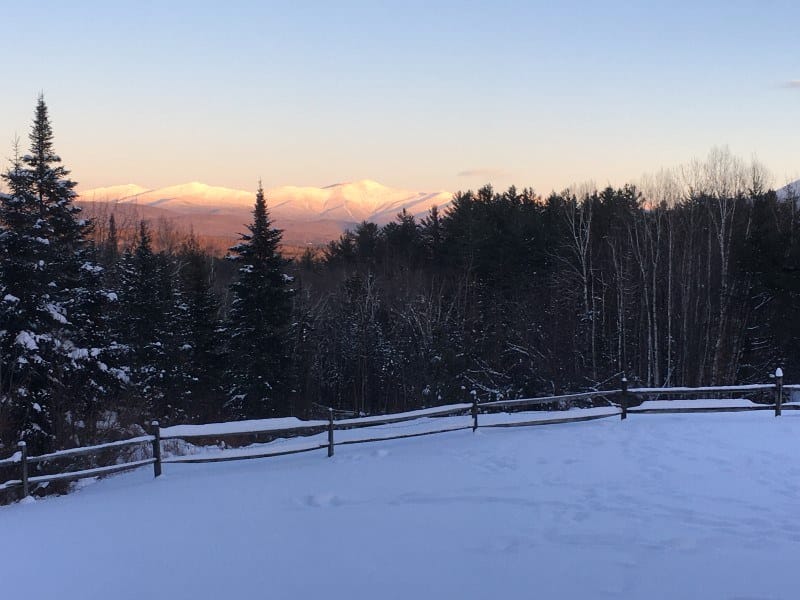 Timber Harvesting in Bethlehem, NH Thumbnail