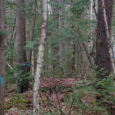 Timber-Harvesting-in-Canaan-NH 0