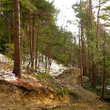 Timber-Harvesting-in-Charlestown-NH 1