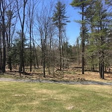 Timber-Harvesting-in-Chesterfield-NH 0