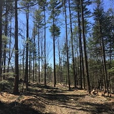 Timber-Harvesting-in-Chesterfield-NH 2