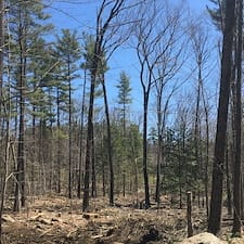 Timber-Harvesting-in-Chesterfield-NH 3