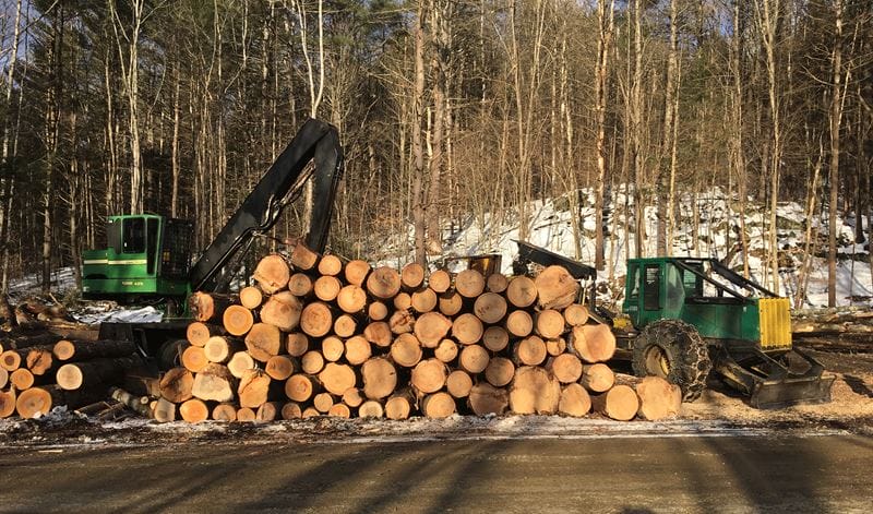 Timber Harvesting in Chester, VT Thumbnail