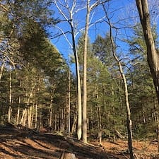 Timber-Harvesting-in-Chester-VT 1