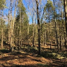 Timber-Harvesting-in-Chester-VT 2