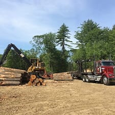Timber-Harvesting-in-Chichester-NH 0