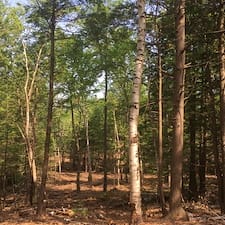 Timber-Harvesting-in-Chichester-NH 1
