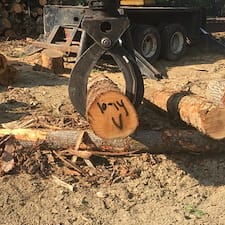 Timber-Harvesting-in-Chichester-NH 2