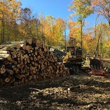 Timber-Harvesting-in-Gilmanton-NH 0