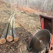 Timber-Harvesting-in-Gilmanton-NH 3