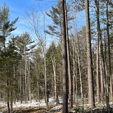 Timber-Harvesting-in-Hill-NH 3