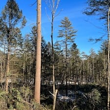 Timber-Harvesting-in-Hill-NH 5