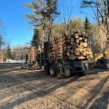 Timber-Harvesting-in-Hill-NH 6