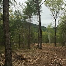 Timber-Harvesting-in-Littleton-NH 1