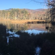 Timber-Harvesting-in-Moultonborough-NH 0