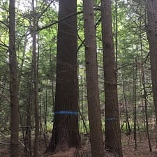Timber-Harvesting-in-Moultonborough-NH 3