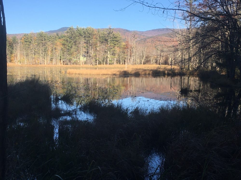 Timber Harvesting in Moultonborough, NH Thumbnail