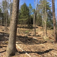 Timber-Harvesting-in-Swanzey-NH 1