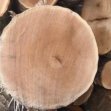 Timber-Harvesting-in-Swanzey-NH 3