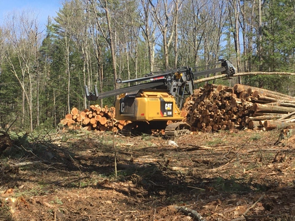 Timber Harvesting in Swanzey, NH Thumbnail