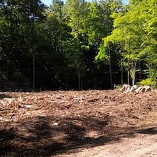 Timber-Harvesting-in-Unity-NH 0