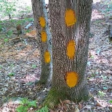 Timber-Harvesting-in-Unity-NH 1