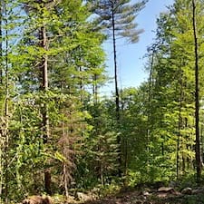 Timber-Harvesting-in-Unity-NH 2