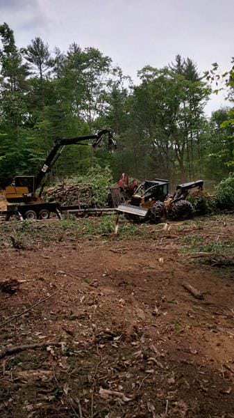 Timber Sale in Epsom, NH Thumbnail