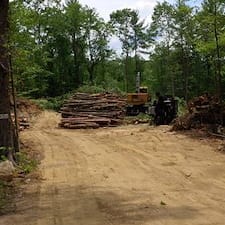 Timber-Sale-in-Epsom-NH 0