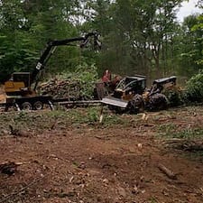 Timber-Sale-in-Epsom-NH 1