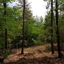 Timber-Sale-in-Epsom-NH 2