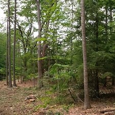 Timber-Sale-in-Epsom-NH 4