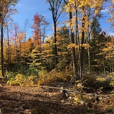 Timber-Sale-in-Grafton-VT 0