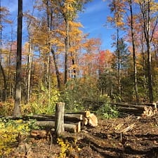 Timber-Sale-in-Grafton-VT 1