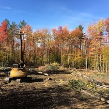 Timber-Sale-in-Grafton-VT 3