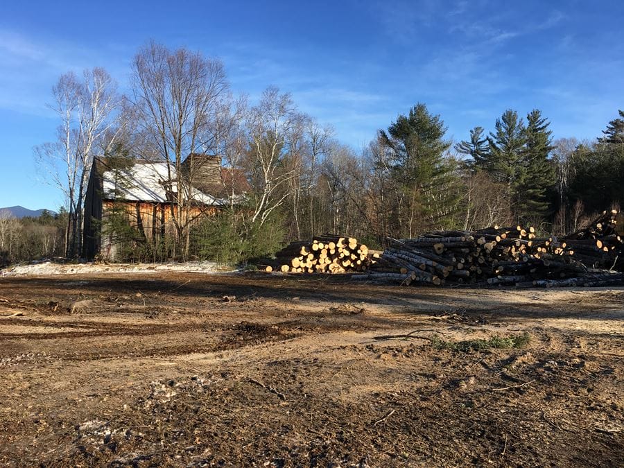 Timber Sale & Select Thinning in Campton, NH Thumbnail