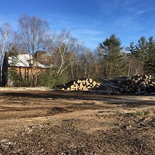 Timber-Sale-Select-Thinning-in-Campton-NH 0